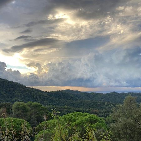 Willa Casa Con Vista Y Jardin, A 20' De La Playa Sant Cebrià de Vallalta Zewnętrze zdjęcie